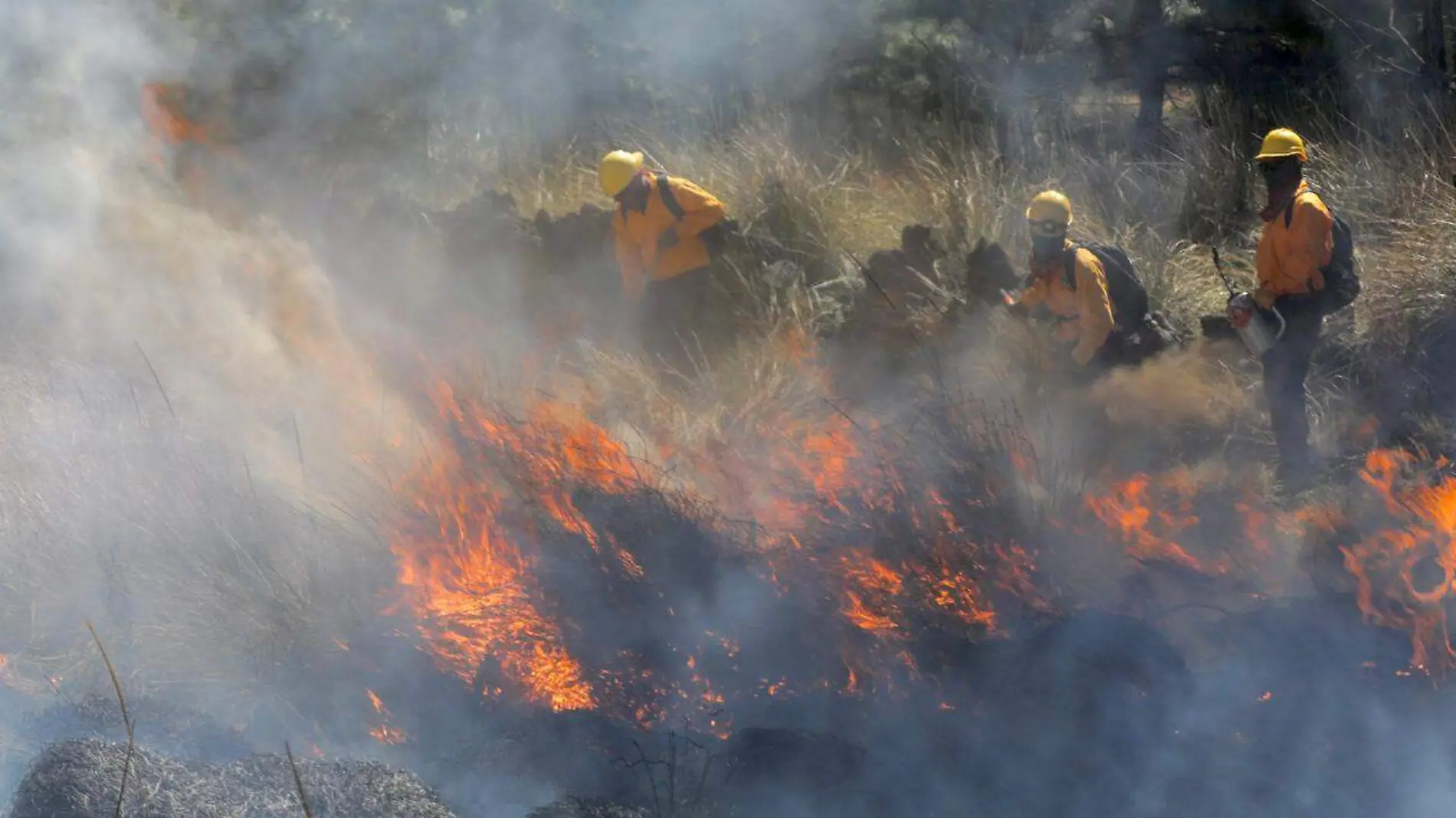 Incendio en cerro de la Cruz